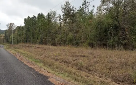 15.5+/- Wooded Acres on MC 158 – Prime Land with Power Available