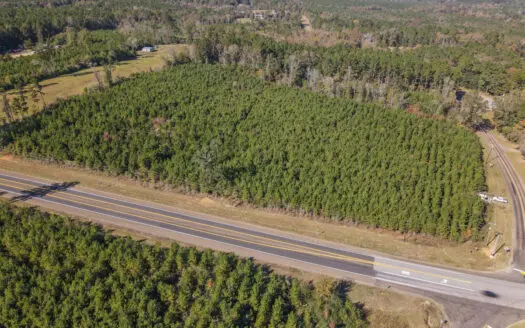 63.76 Acres M/L on State Highway 103 Frontage in Bronson, Texas