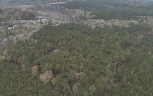 Recreational Timberland Opportunity Property for Sale