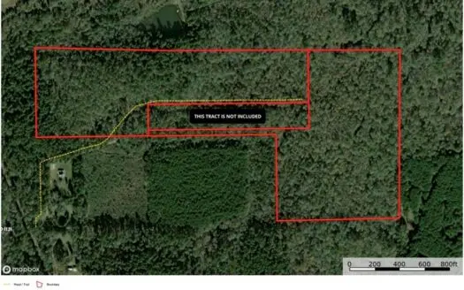 East Texas Hunting/Timber/Recreational Land In Cass County