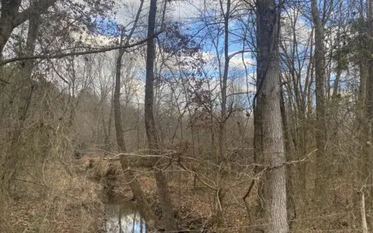 Land For Sale In Tn, 7.74 Acres+/-, Creek, Wooded
