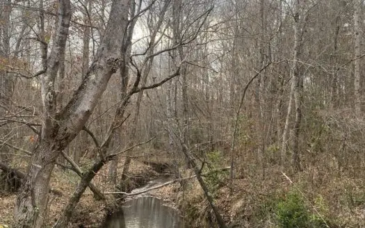 Land For Sale In Tn, 11.2 Acres+/-, Creek, Wooded, Hunting