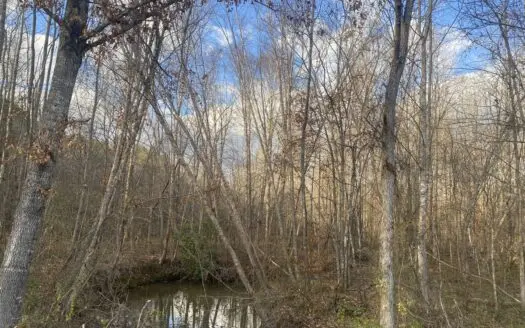 Land For Sale In Tn, 6.28 Acres+/-, Wooded, Creek