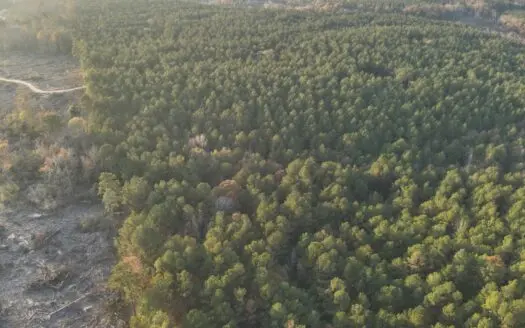 Investment & Recreational Timberland Property in Nevada County