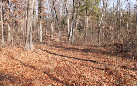 Land For Sale Osceola, Missouri
