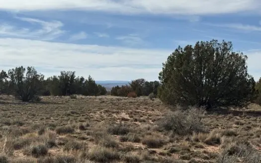 Off-grid Land, Borders BLM with views for sale near Snowflake AZ