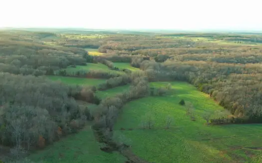 Salem, Missouri Acreage for Sale