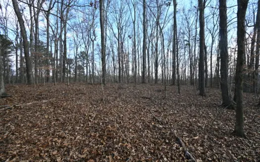 5 acres Unrestricted Land For Sale Near Tennessee River