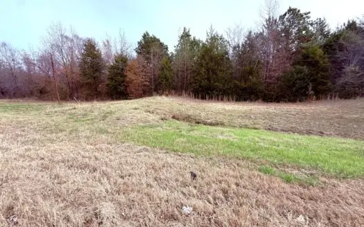 6.7 Acres Winnsboro Wood County East Texas Land for Sale