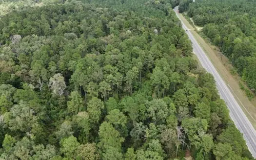 Hunting and Timberland w/ Homesite Potential Trout LA