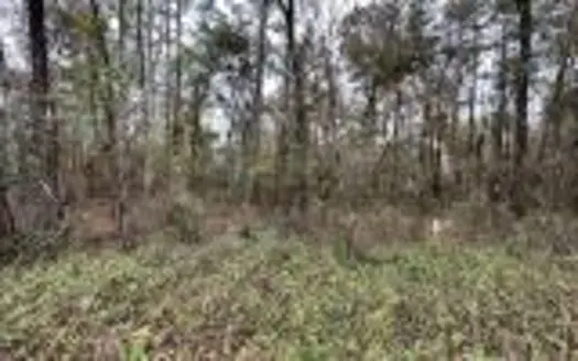 Recreational Lot – Live Oak Florida – Suwannee County Fl!