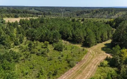 389 Acres Hunting & Timberland with Cabin-Autauga County, Alabama