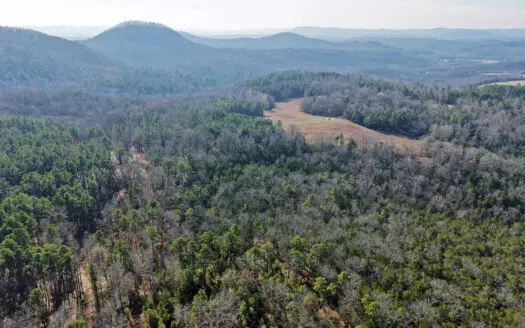 Hunting Land For Sale In North Central Arkansas