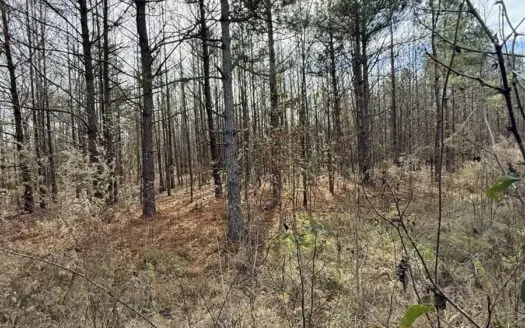 73-Acre Recreational & Hunting Property in Star City, Arkansas