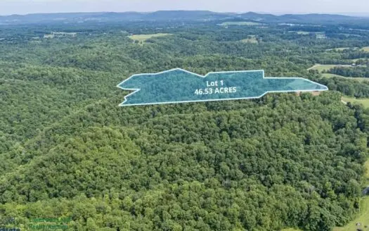 Discover Your Own Slice of Paradise!