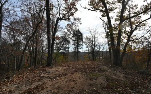 112-Acre Timberland Retreat with Cabin in Linden, Tennessee