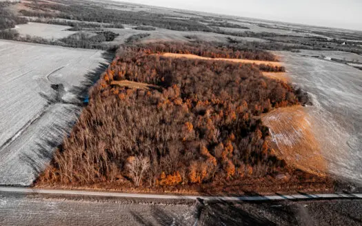 40 Acres – Timber, Hunting, Trails – Dekalb County Missouri