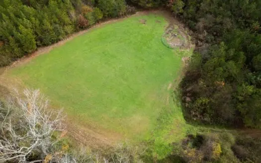 283± Acres for Sale Amite County, Mississippi