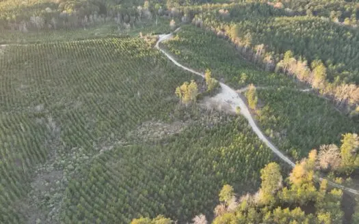 Lawson, AR Timberland Property Land for Sale