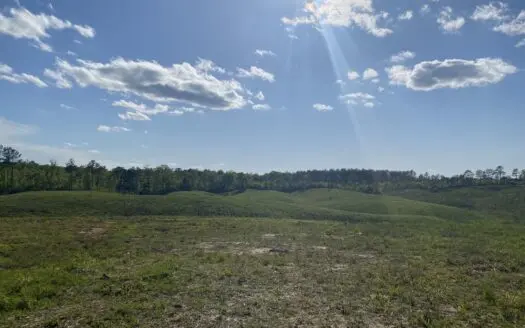 Land For Sale In Tn, 2.35 Acres+/-, Open Land