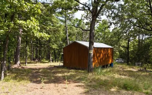 Cabin on 11.24 Acres Remote property with electric.