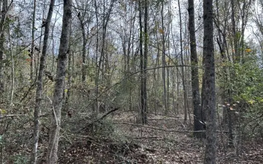 106.66 acres Timberland Property Harrison County, Texas