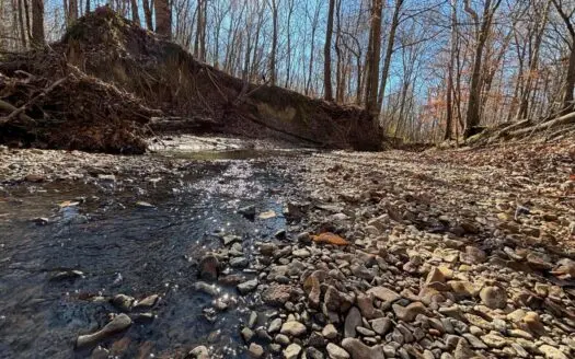 116 Acres with 1600 sq ft Cabin in Yazoo County