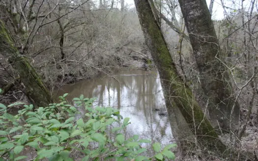 75 Acre Creekfront Property For Sale Lincoln County Mississippi