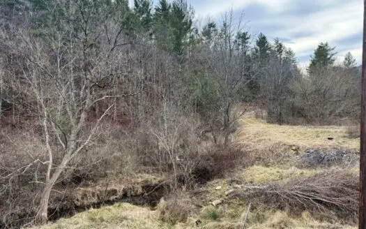 Land for sale in Bland, VA with a creek