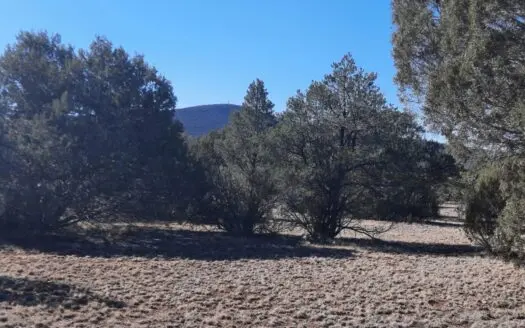 Absolutely gorgeous 7.43 acre Northern Arizona property