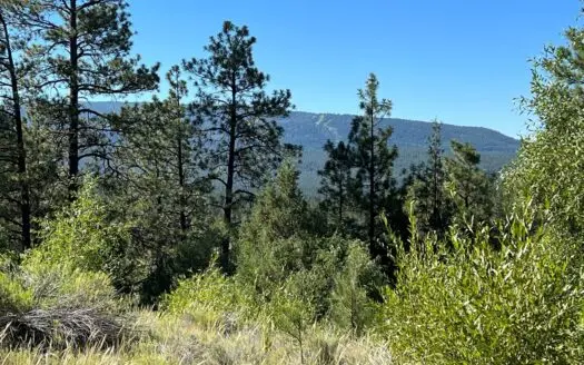 Northern New Mexico Mountain Property in Ticonderoga