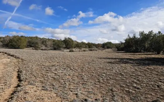 Electric near corner of lot Bridge Canyon Country Estates