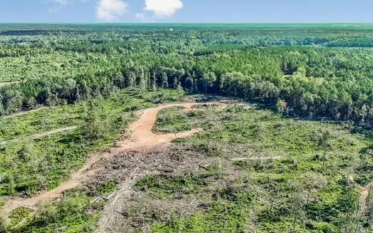 Small Hunting Tract in Amite County, MS