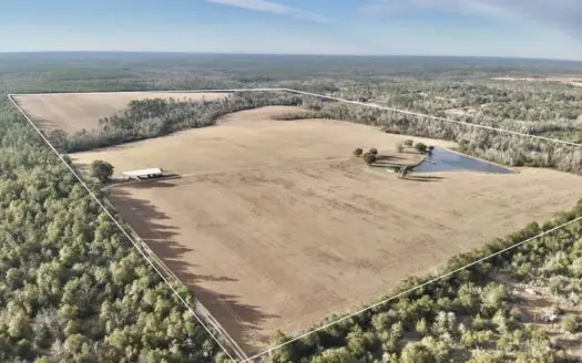 Rudd Sod Farm – 240 Acres in Alford, Florida – For Sale