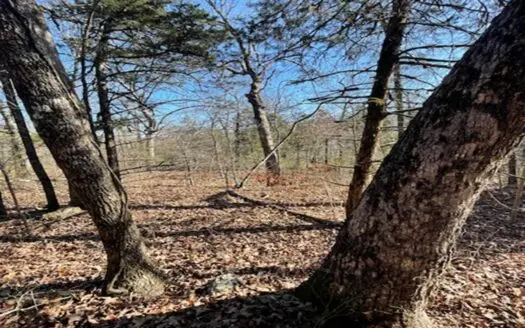 Southeast Facing Building Site On Wooded 37 Acre Ozark Mountain