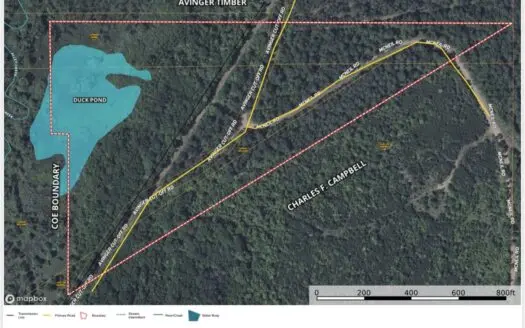 Duck Hunting Property with Duck Slough located in Avinger Texas