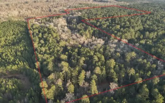 Pine/Hardwood Hunting Land W/ Wet land wildlife habitat for sale