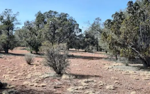 Perfect Northern AZ off grid property