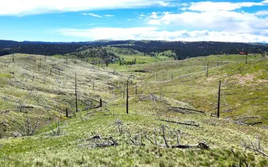 20 Acre Parcel for Sale With River Access