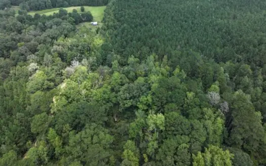 14.42 Acres Wooded & Surveyed Land in Lincoln County, Mississippi