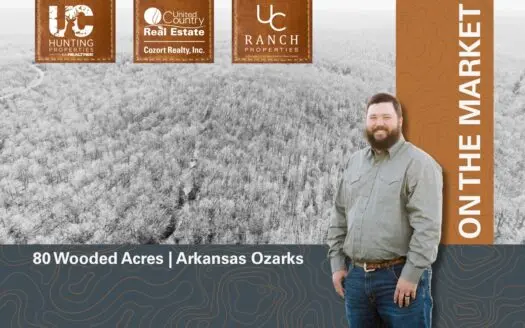 Prime Hunting Land in the Arkansas Ozarks | 80 Wooded Acres