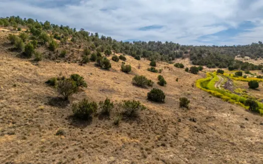 Plenty of privacy with this end of the road 5+ acre parcel