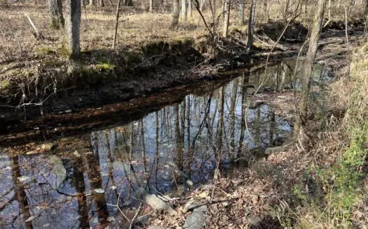 40.83+/- Wooded Hunting Acres with Creek For Sale in McRae, AR