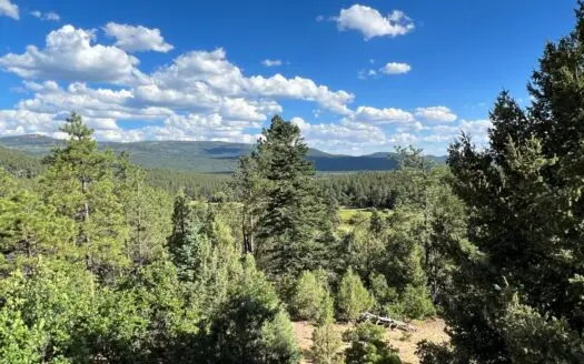 Northern New Mexico Mountain Property in Ticonderoga