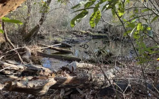 Hunter’s Paradise for Sale in Eastern NC