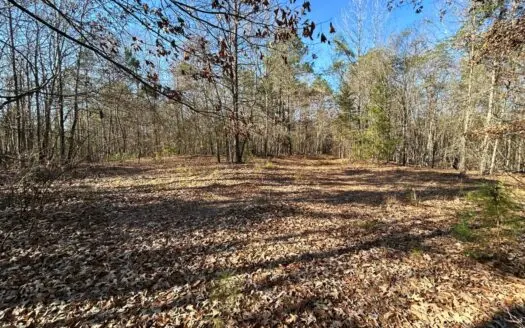 Wooded acreage for sale for future homesite
