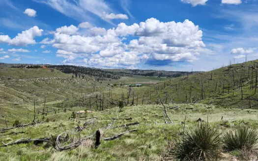 20 Acres For Sale in MT Adjacent to State Land