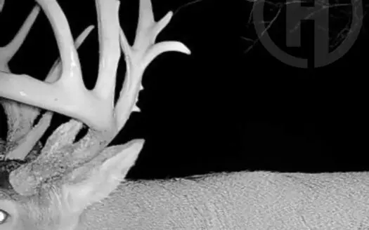 The Perfect 160 in Franklin County Kansas