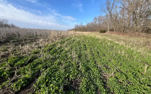 Decatur County Hunting & Invesment Land