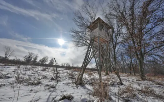 159.54 Acre Adams County property Near Nekoosa, WI